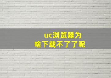 uc浏览器为啥下载不了了呢