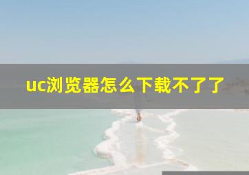 uc浏览器怎么下载不了了