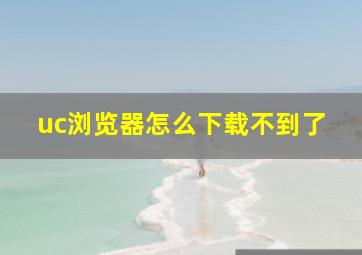 uc浏览器怎么下载不到了