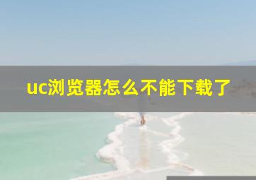 uc浏览器怎么不能下载了