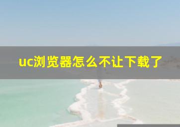 uc浏览器怎么不让下载了