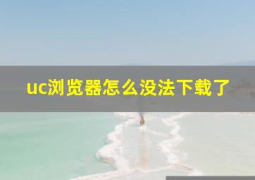 uc浏览器怎么没法下载了