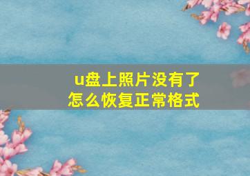 u盘上照片没有了怎么恢复正常格式