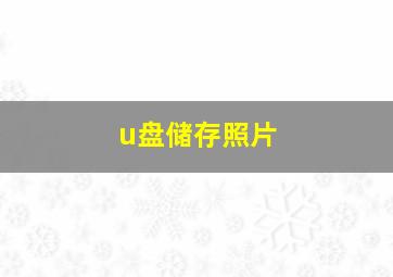 u盘储存照片