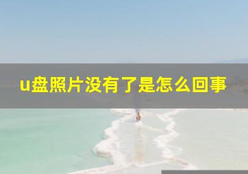 u盘照片没有了是怎么回事