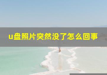 u盘照片突然没了怎么回事