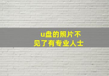 u盘的照片不见了有专业人士