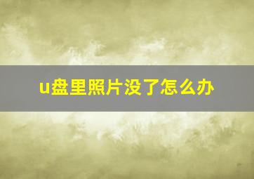 u盘里照片没了怎么办