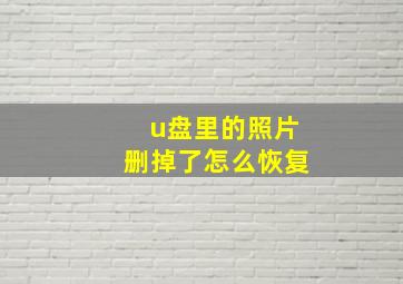 u盘里的照片删掉了怎么恢复