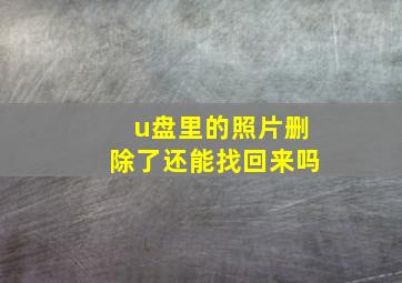 u盘里的照片删除了还能找回来吗