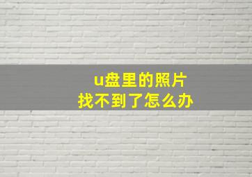 u盘里的照片找不到了怎么办