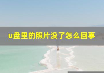 u盘里的照片没了怎么回事