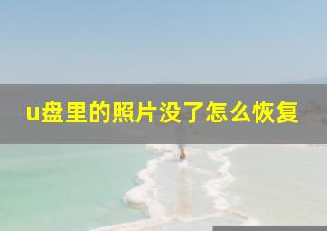 u盘里的照片没了怎么恢复