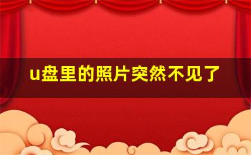 u盘里的照片突然不见了