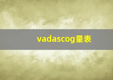 vadascog量表