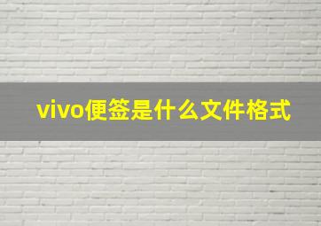 vivo便签是什么文件格式