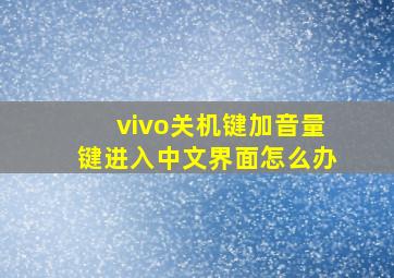 vivo关机键加音量键进入中文界面怎么办