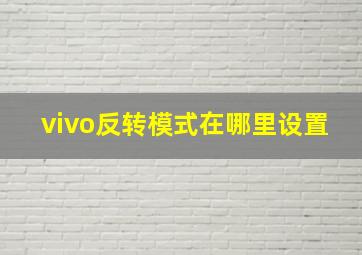 vivo反转模式在哪里设置