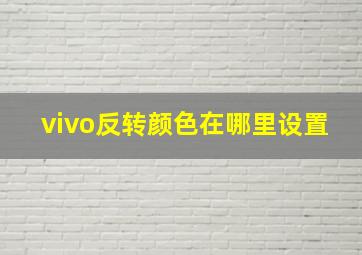 vivo反转颜色在哪里设置