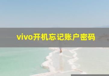 vivo开机忘记账户密码