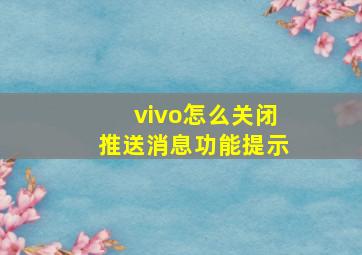 vivo怎么关闭推送消息功能提示