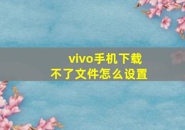 vivo手机下载不了文件怎么设置