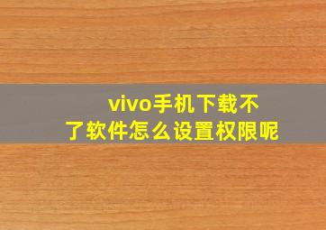 vivo手机下载不了软件怎么设置权限呢