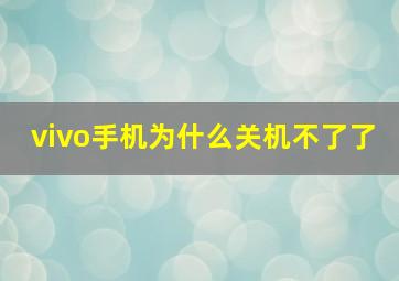 vivo手机为什么关机不了了