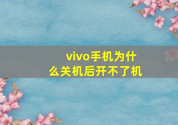 vivo手机为什么关机后开不了机