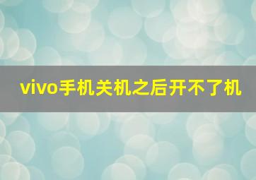 vivo手机关机之后开不了机