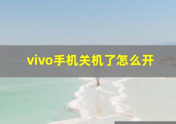 vivo手机关机了怎么开