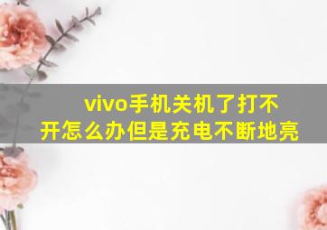 vivo手机关机了打不开怎么办但是充电不断地亮