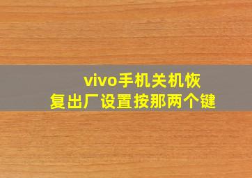 vivo手机关机恢复出厂设置按那两个键