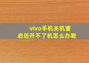 vivo手机关机重启后开不了机怎么办呢