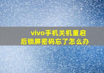 vivo手机关机重启后锁屏密码忘了怎么办