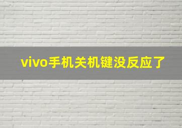 vivo手机关机键没反应了