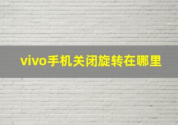 vivo手机关闭旋转在哪里