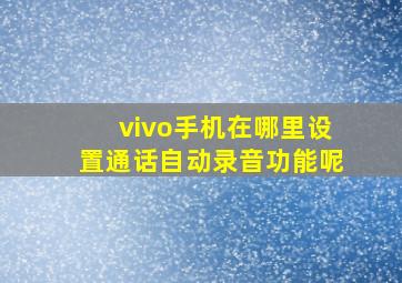 vivo手机在哪里设置通话自动录音功能呢