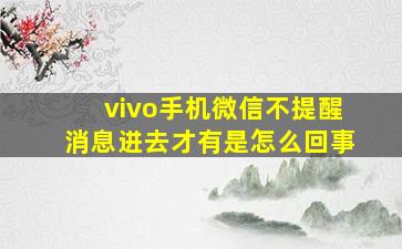 vivo手机微信不提醒消息进去才有是怎么回事