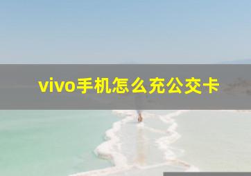 vivo手机怎么充公交卡