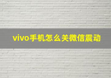 vivo手机怎么关微信震动