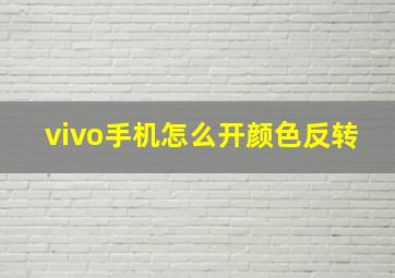 vivo手机怎么开颜色反转