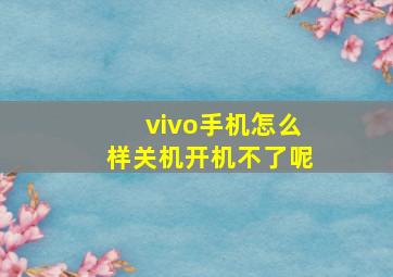 vivo手机怎么样关机开机不了呢