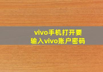 vivo手机打开要输入vivo账户密码