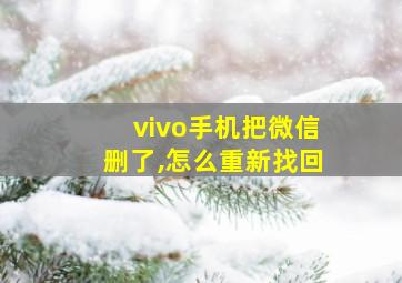 vivo手机把微信删了,怎么重新找回