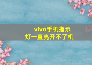 vivo手机指示灯一直亮开不了机