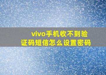 vivo手机收不到验证码短信怎么设置密码