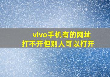 vivo手机有的网址打不开但别人可以打开