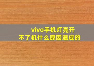 vivo手机灯亮开不了机什么原因造成的