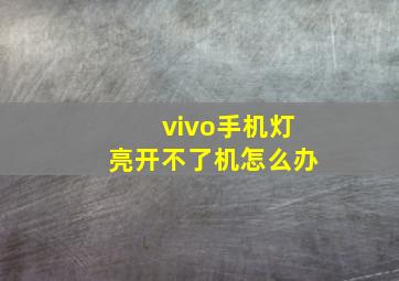 vivo手机灯亮开不了机怎么办